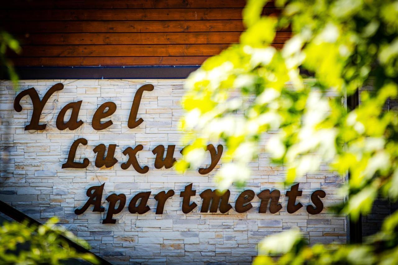 Yael Luxury Apartments 2 Buşteni Exteriör bild